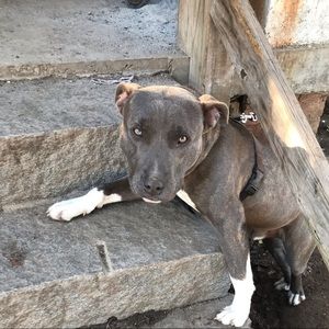 Meet your Posher, Rashad